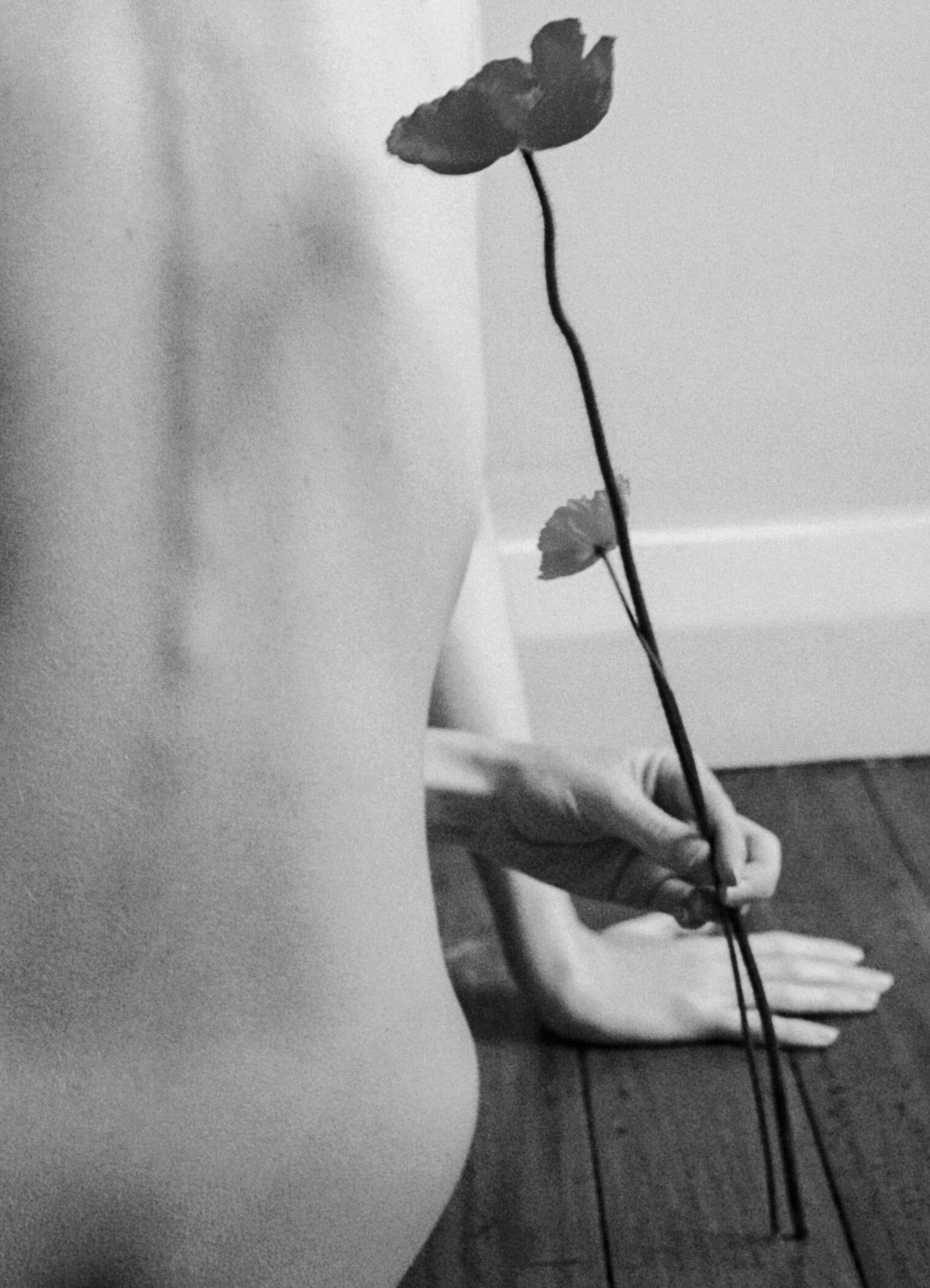 Ella & Lola: Creative Consultants